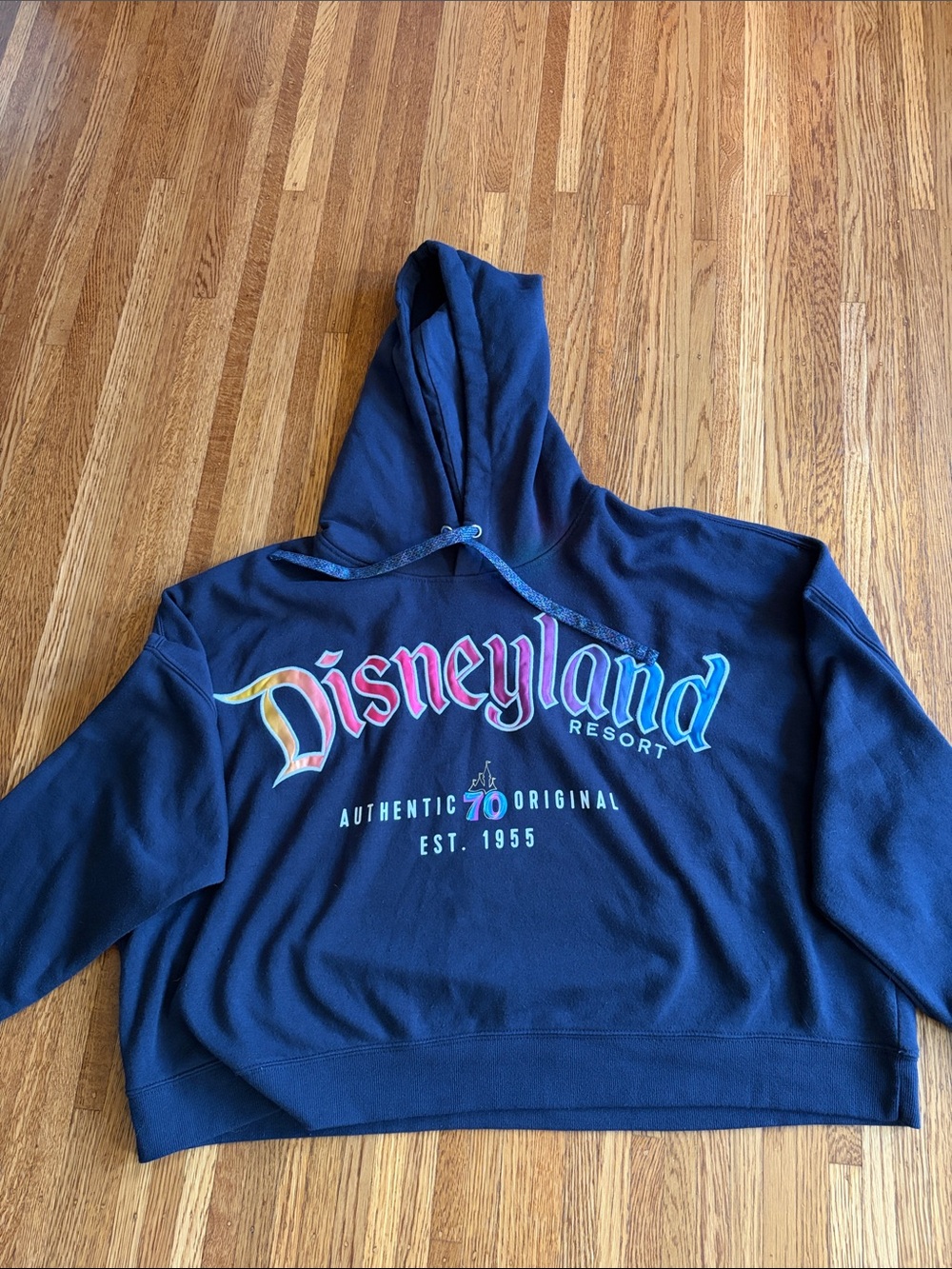 Disney Navy Crewneck Hoodie with Rainbow Disneyland Logo